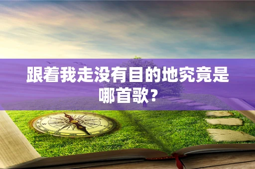 跟着我走没有目的地究竟是哪首歌？