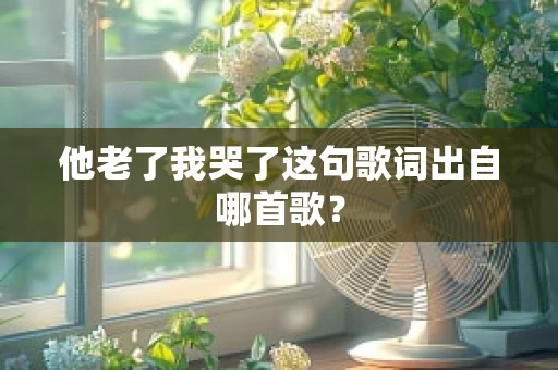 他老了我哭了这句歌词出自哪首歌？