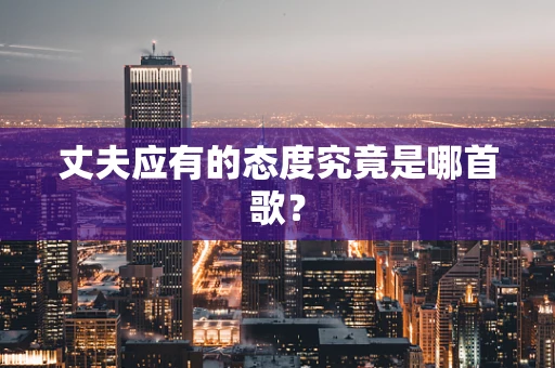 丈夫应有的态度究竟是哪首歌？