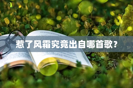 惹了风霜究竟出自哪首歌？
