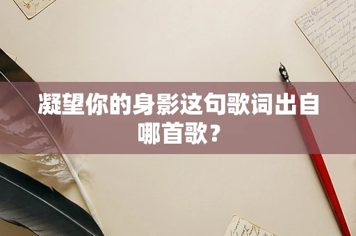 凝望你的身影这句歌词出自哪首歌？