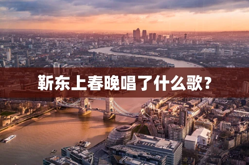 靳东上春晚唱了什么歌？