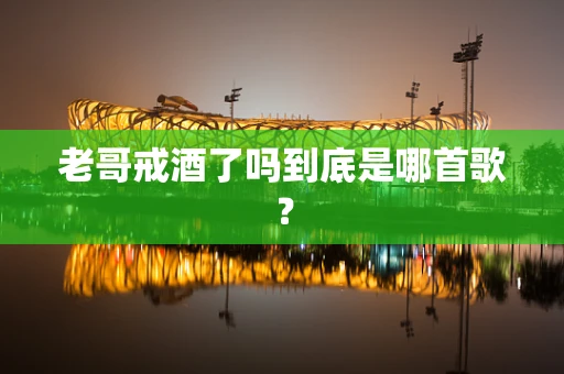 老哥戒酒了吗到底是哪首歌？