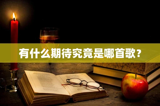 有什么期待究竟是哪首歌？