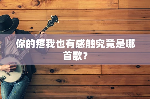 你的疼我也有感触究竟是哪首歌？