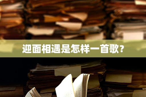 迎面相遇是怎样一首歌？