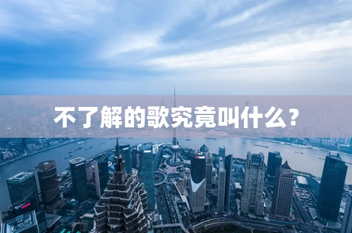不了解的歌究竟叫什么？