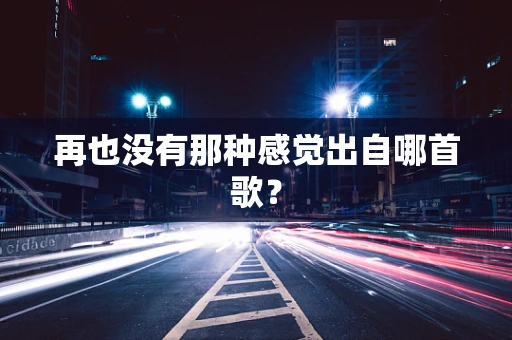 再也没有那种感觉出自哪首歌？