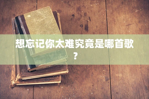 想忘记你太难究竟是哪首歌？