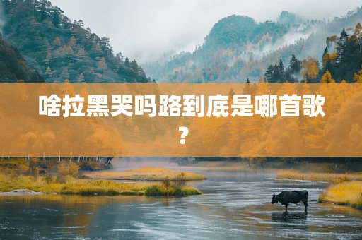 啥拉黑哭吗路到底是哪首歌？