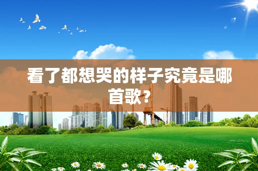 看了都想哭的样子究竟是哪首歌？