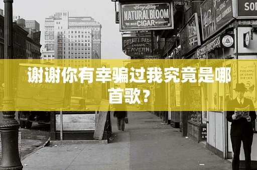 谢谢你有幸骗过我究竟是哪首歌？