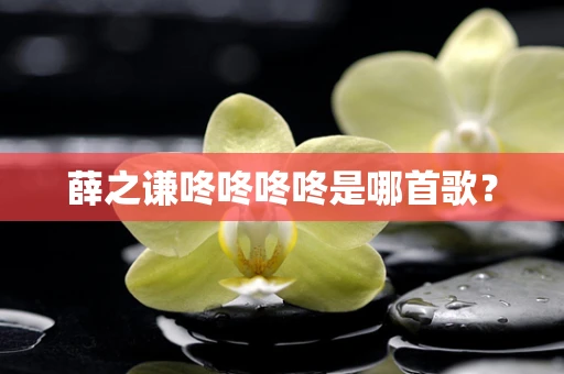 薛之谦咚咚咚咚是哪首歌？