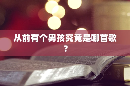 从前有个男孩究竟是哪首歌？