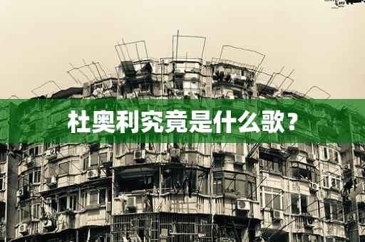 杜奥利究竟是什么歌？