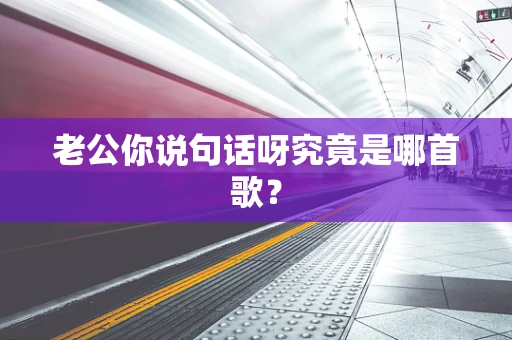 老公你说句话呀究竟是哪首歌？