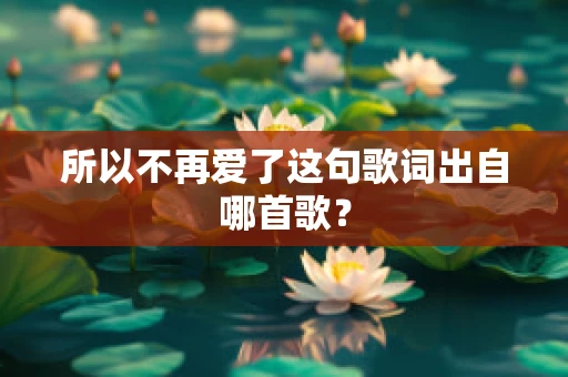 所以不再爱了这句歌词出自哪首歌？