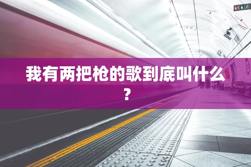 我有两把枪的歌到底叫什么？