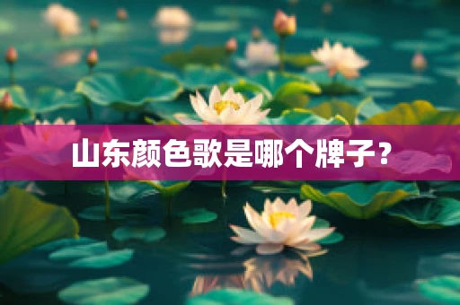 山东颜色歌是哪个牌子？