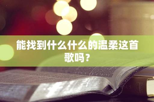 能找到什么什么的温柔这首歌吗？