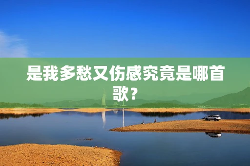 是我多愁又伤感究竟是哪首歌？