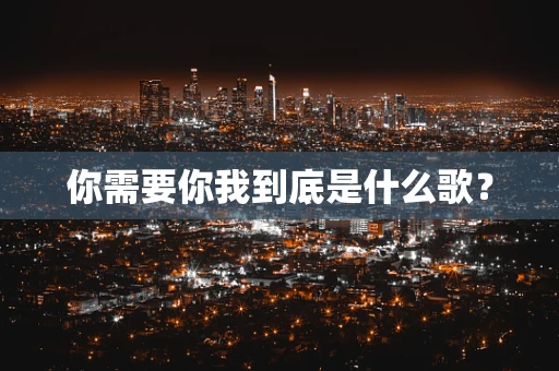 你需要你我到底是什么歌？