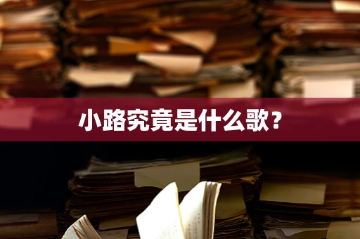 小路究竟是什么歌？