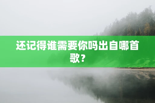还记得谁需要你吗出自哪首歌？