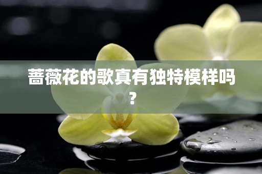 蔷薇花的歌真有独特模样吗？