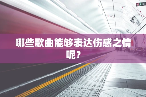 哪些歌曲能够表达伤感之情呢？