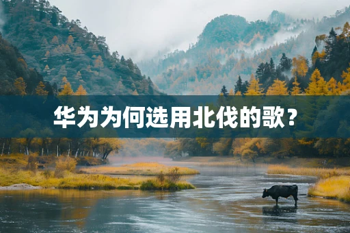 华为为何选用北伐的歌？