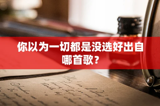 你以为一切都是没选好出自哪首歌？
