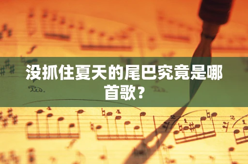 没抓住夏天的尾巴究竟是哪首歌？