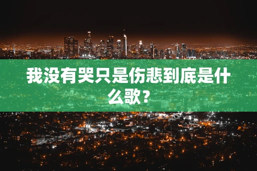 我没有哭只是伤悲到底是什么歌？