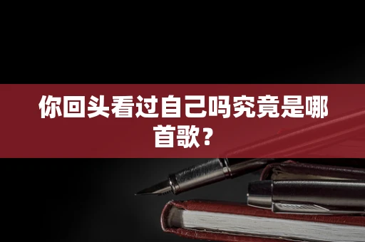 你回头看过自己吗究竟是哪首歌？