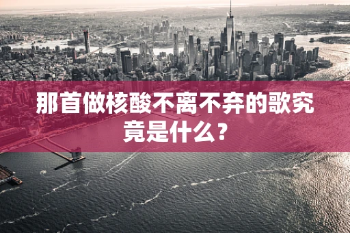 那首做核酸不离不弃的歌究竟是什么？