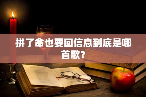 拼了命也要回信息到底是哪首歌？