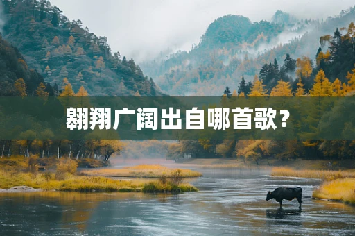 翱翔广阔出自哪首歌？