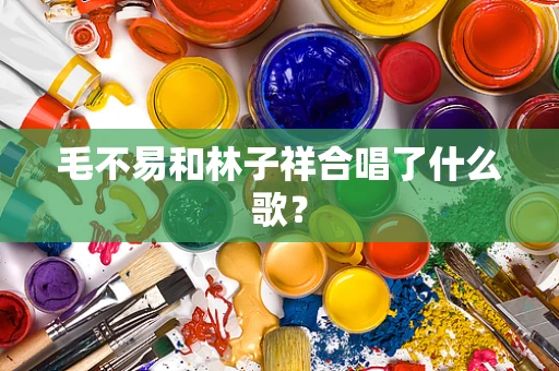 毛不易和林子祥合唱了什么歌？