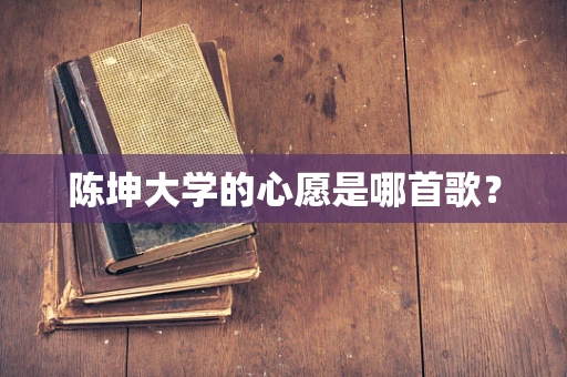 陈坤大学的心愿是哪首歌？