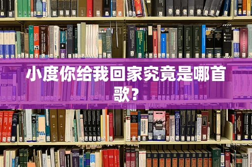 小度你给我回家究竟是哪首歌？