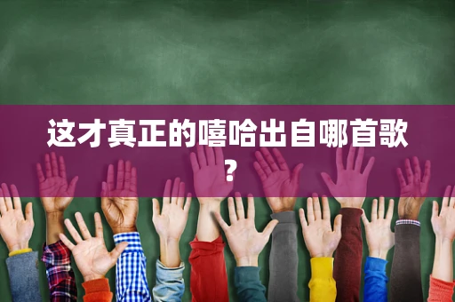 这才真正的嘻哈出自哪首歌？