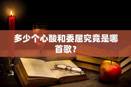 多少个心酸和委屈究竟是哪首歌？