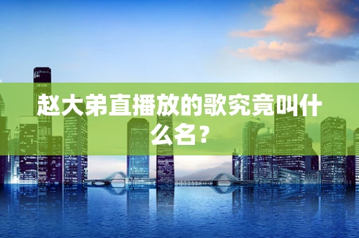 赵大弟直播放的歌究竟叫什么名？