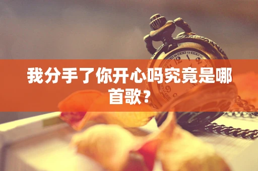 我分手了你开心吗究竟是哪首歌？
