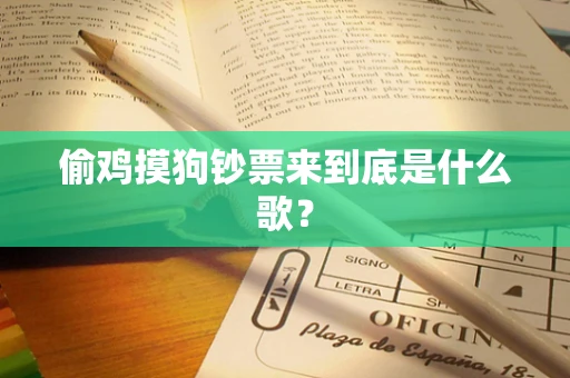 偷鸡摸狗钞票来到底是什么歌？