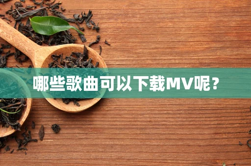 哪些歌曲可以下载MV呢？