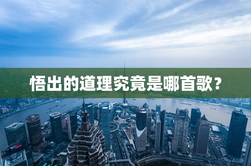 悟出的道理究竟是哪首歌？