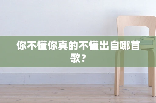 你不懂你真的不懂出自哪首歌？