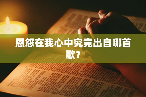 恩怨在我心中究竟出自哪首歌？